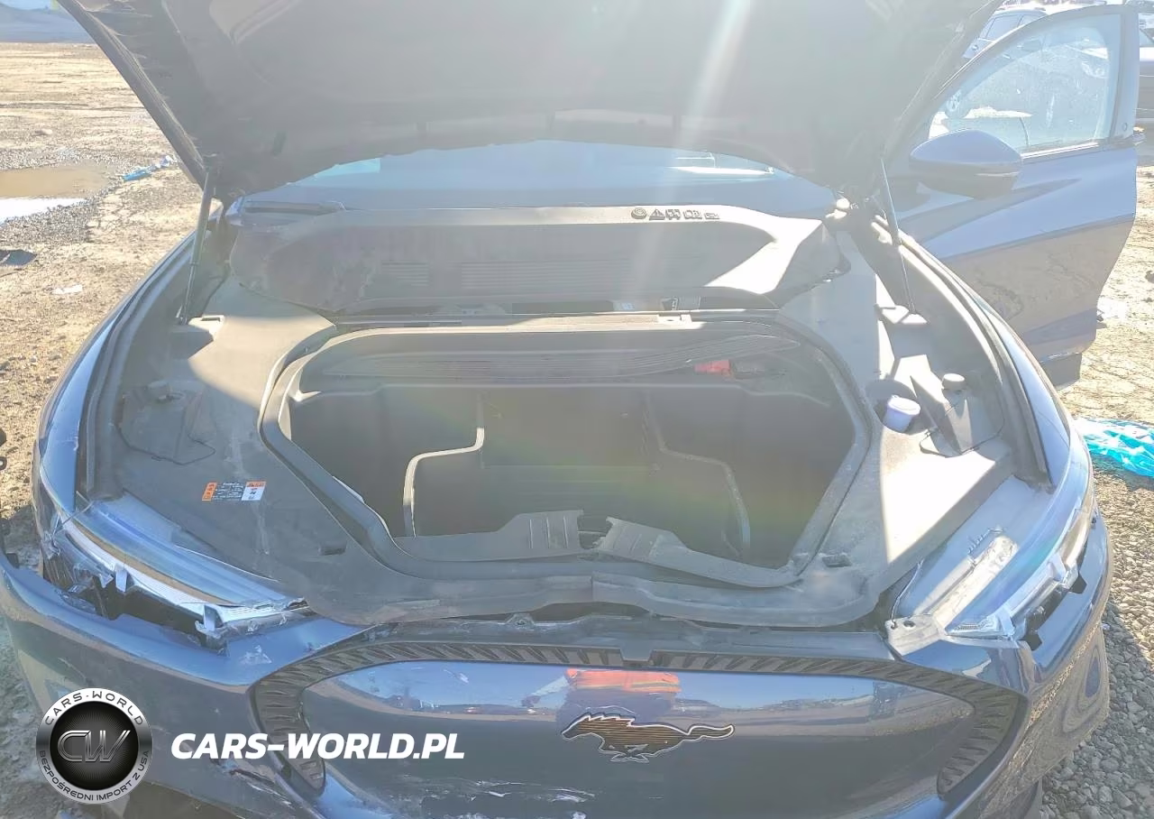 2021 Ford Mustang Mach-E Select VIN:3FMTK1SS5MMA30234 - 12