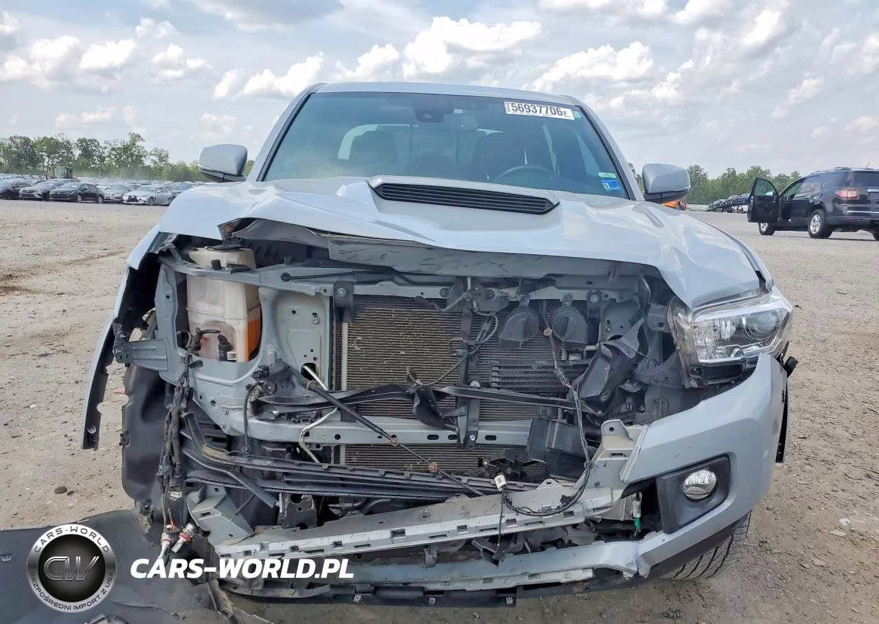 2019 Toyota Tacoma Trd Sport VIN:3TMCZ5AN7KM207091 - 5