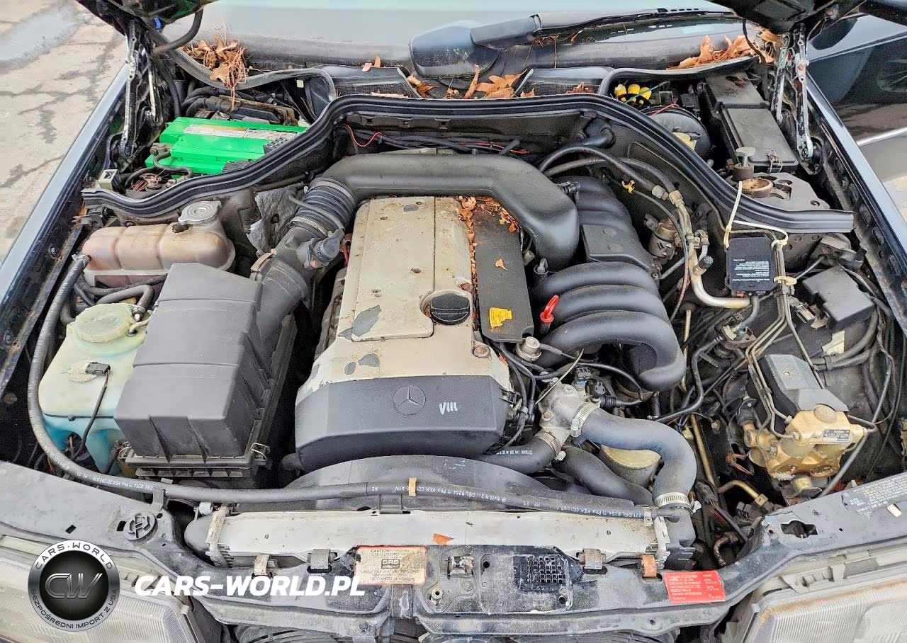 1993 Mercedes-Benz 300 Cecv VIN:WDBEA66E9PB999630 - 11