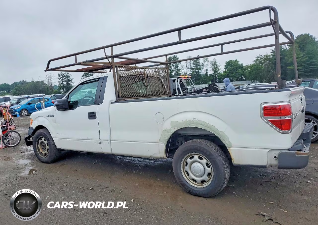 2013 Ford F150 VIN:1FTMF1CM2DKD99430 - 2