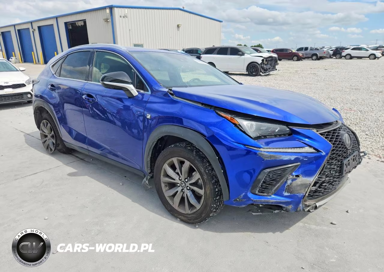 2020 Lexus Nx 300 F Sport VIN:JTJSARBZXL2168434 - 4