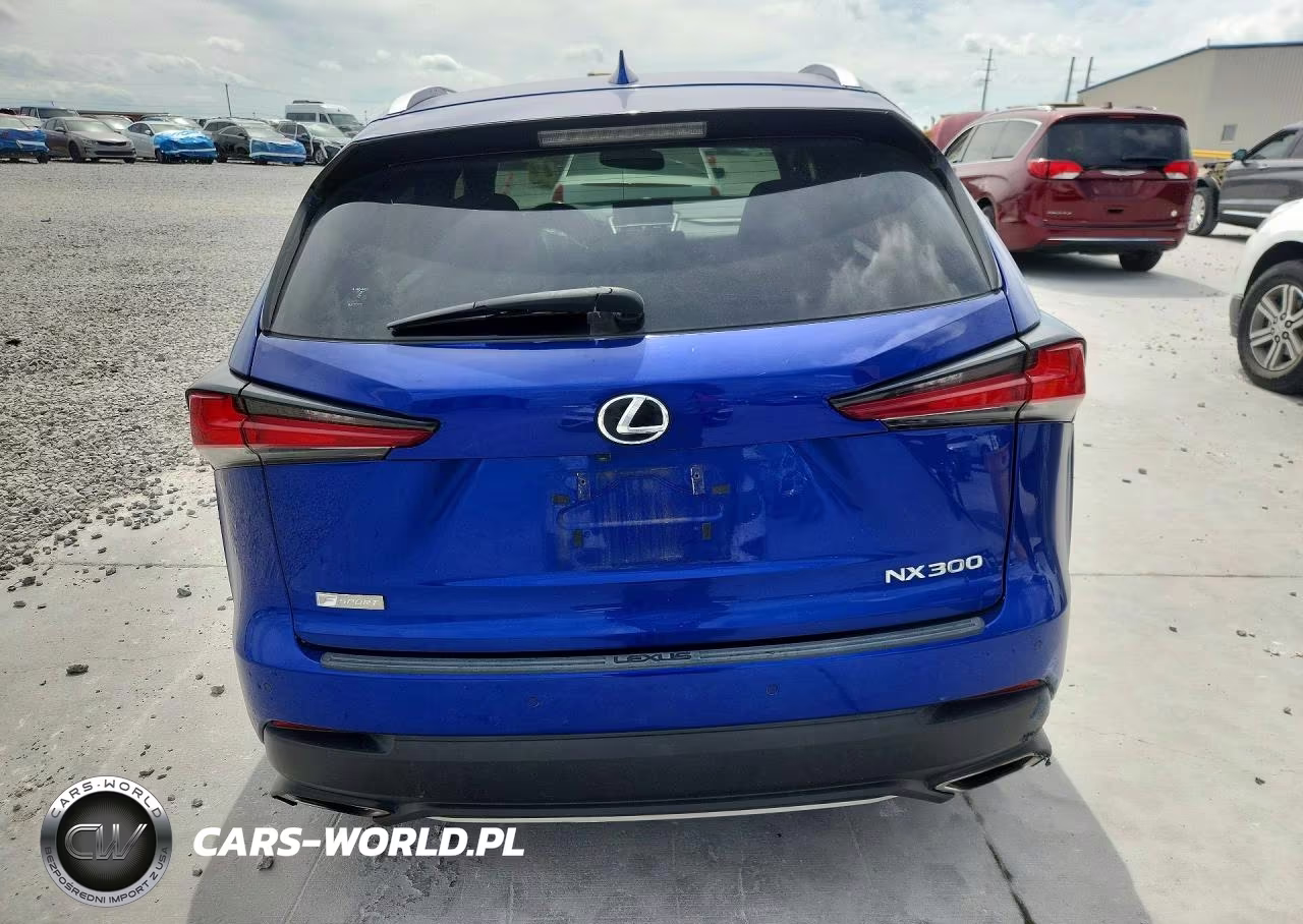 2020 Lexus Nx 300 F Sport VIN:JTJSARBZXL2168434 - 6