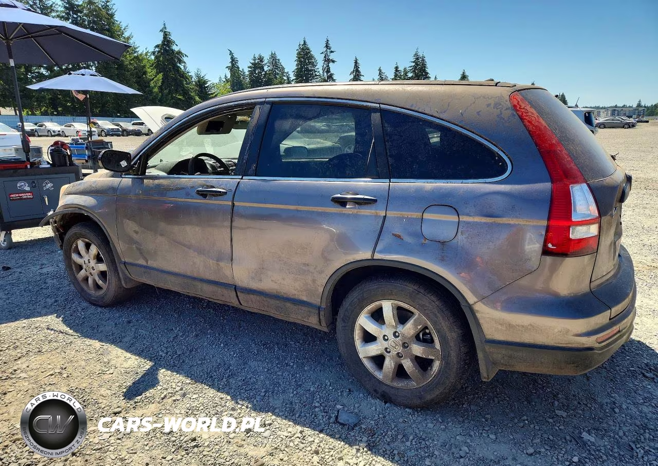 2011 Honda Cr-V Se VIN:5J6RE4H46BL070010 - 2