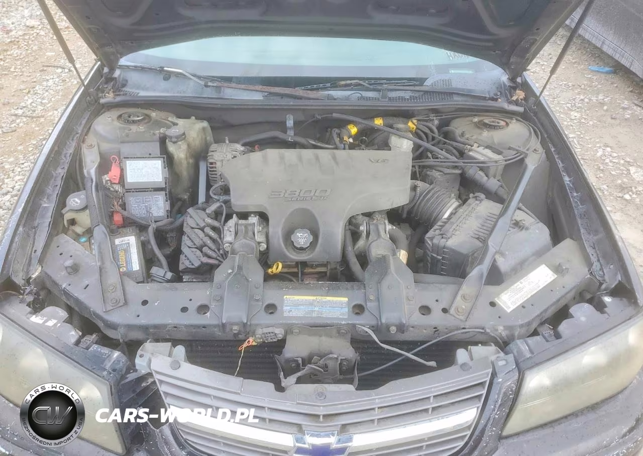 2004 Chevrolet Impala Ls VIN:2G1WH55K449429169 - 11