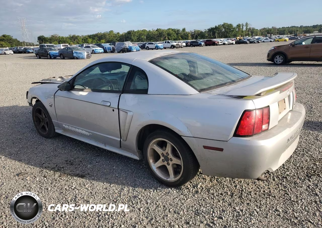 2004 Ford Mustang VIN:1FAFP40634F202339 - 2