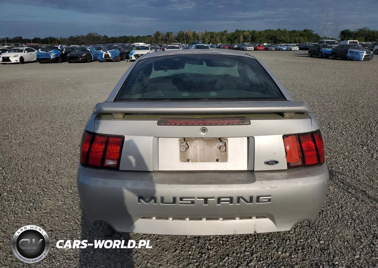 2004 Ford Mustang VIN:1FAFP40634F202339 - 6
