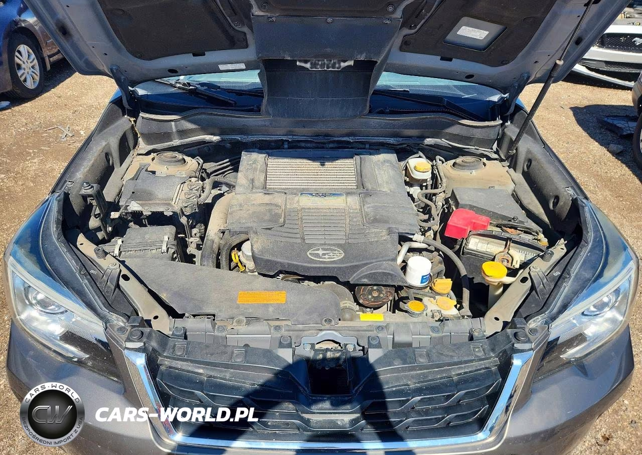 2017 Subaru Forester 2.0Xt Touring VIN:JF2SJGWC1HH495596 - 11
