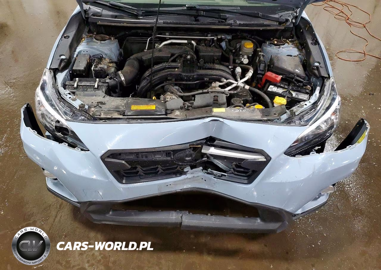 2019 Subaru Crosstrek VIN:JF2GTABCXKH207195 - 12