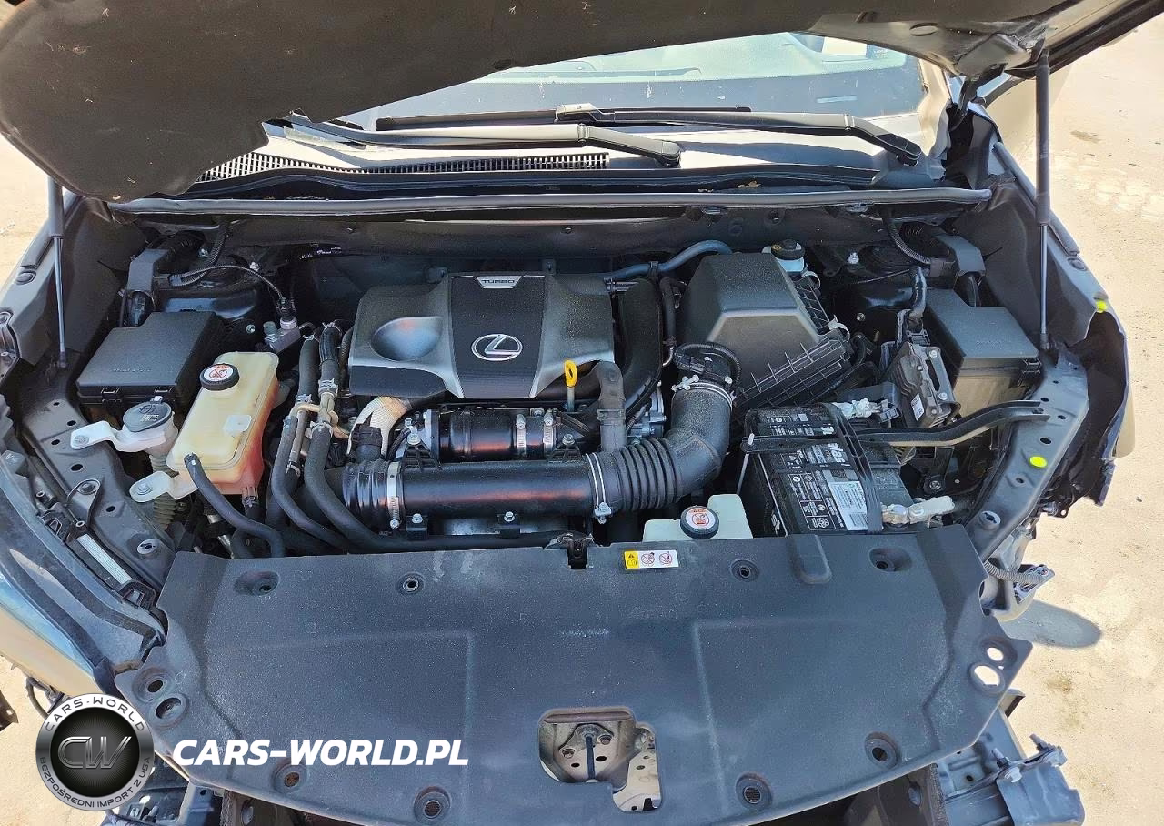 2020 Lexus Nx 300 F Sport VIN:JTJSARBZ8L5005523 - 12