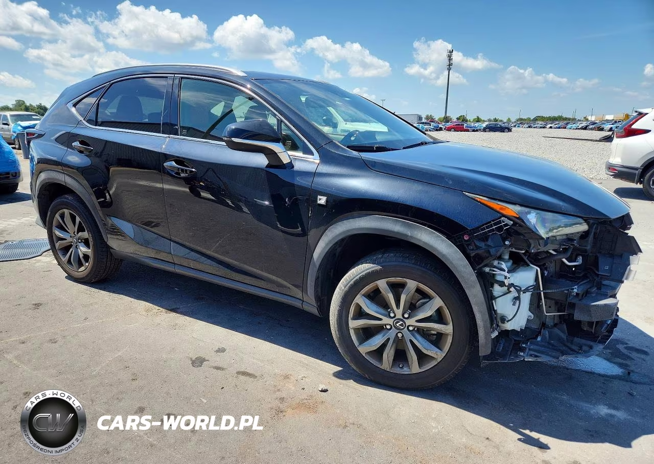 2020 Lexus Nx 300 F Sport VIN:JTJSARBZ8L5005523 - 4