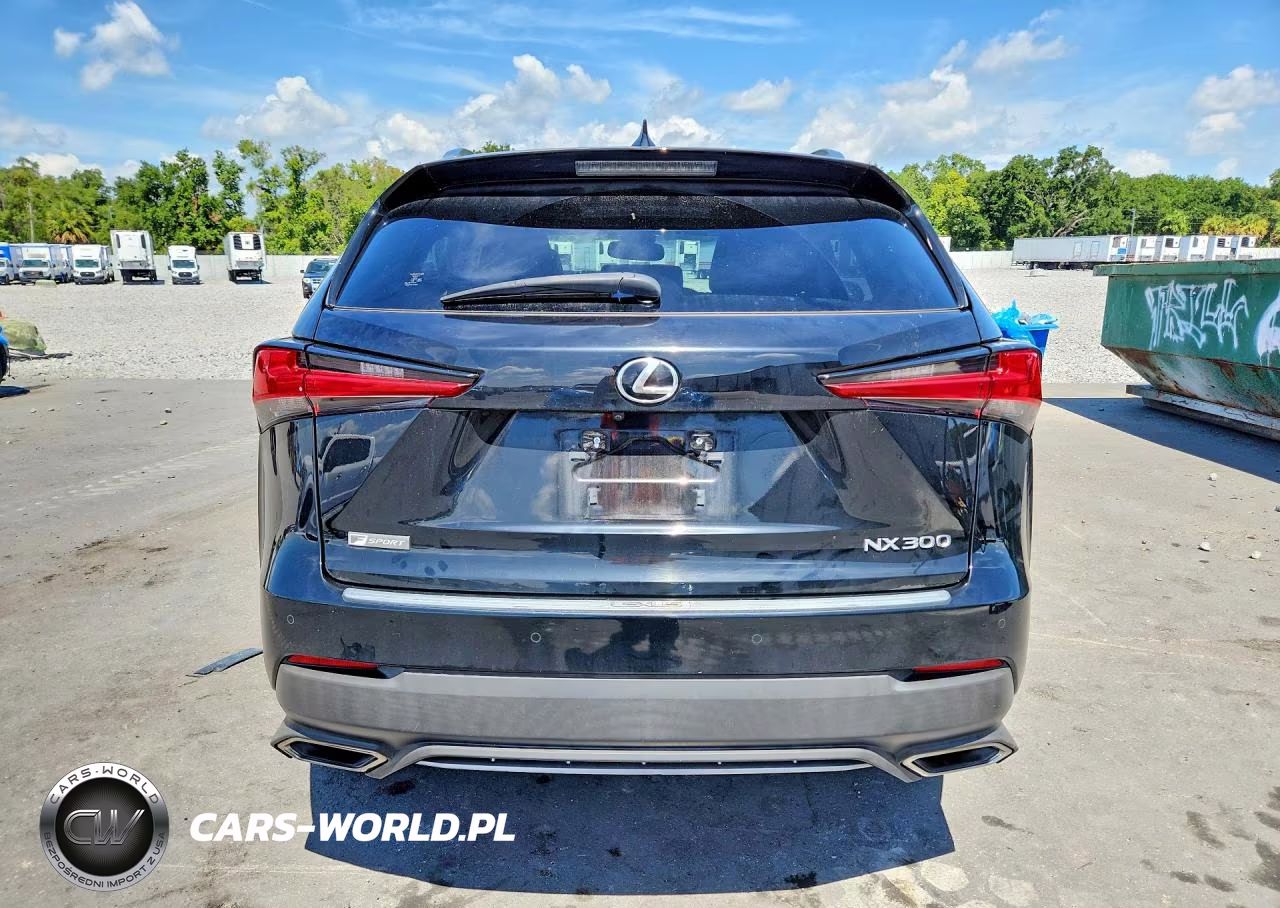 2020 Lexus Nx 300 F Sport VIN:JTJSARBZ8L5005523 - 6