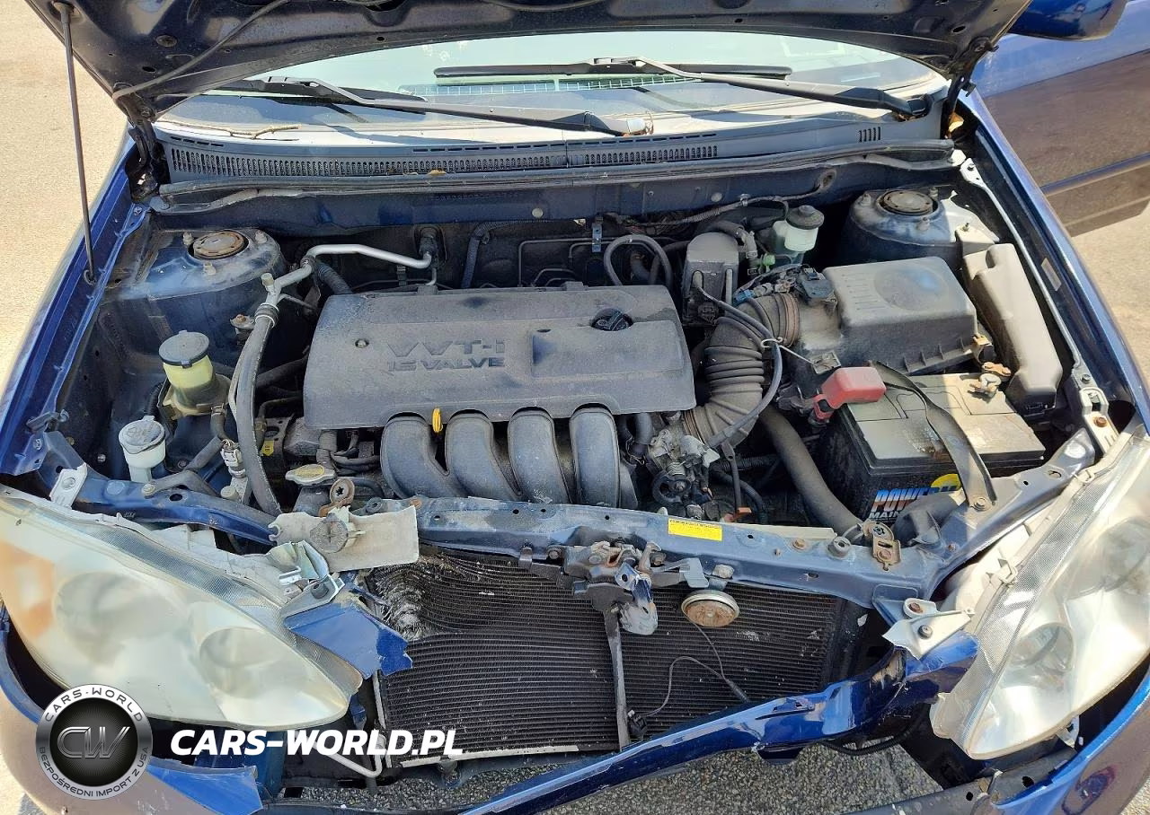 2003 Toyota Corolla Le VIN:JTDBR32E030044366 - 11