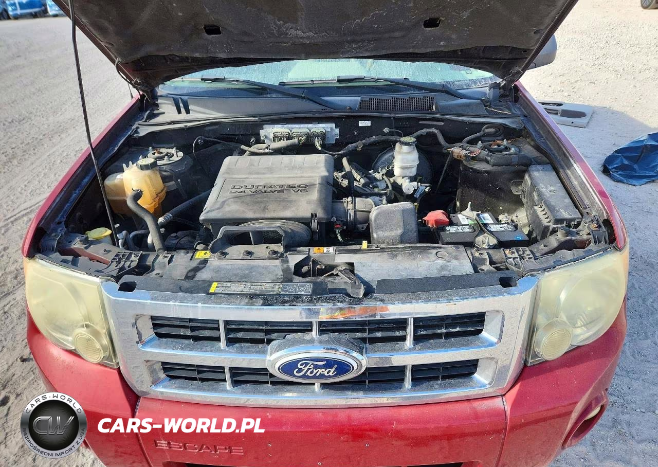2011 Ford Escape Xlt VIN:1FMCU0DG8BKA53122 - 12