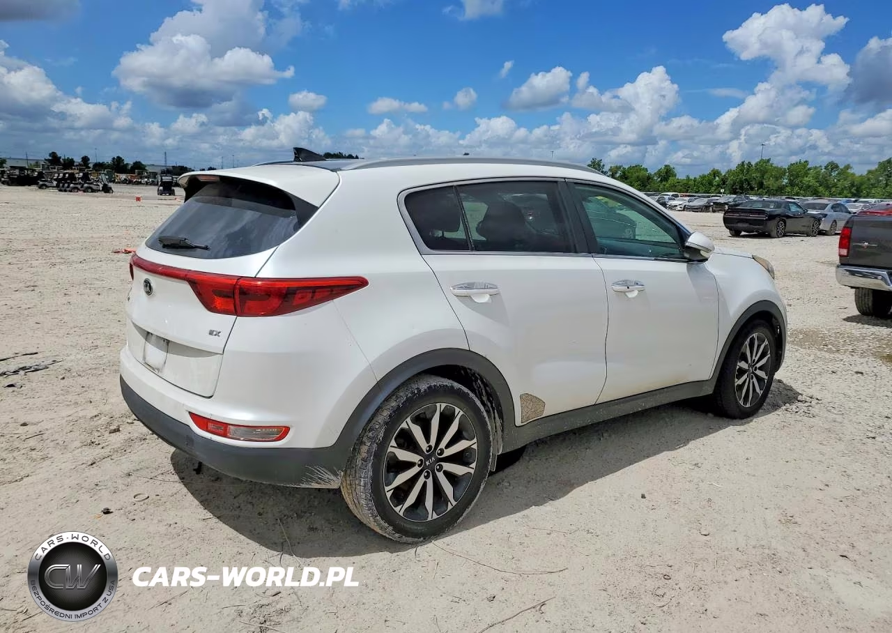 2017 Kia Sportage Ex VIN:KNDPN3ACXH7124189 - 3