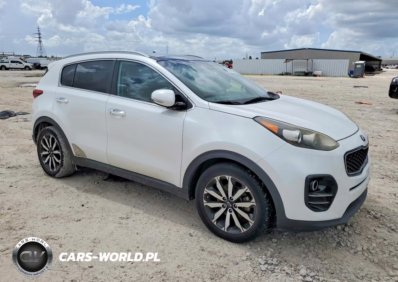 2017 Kia Sportage Ex VIN:KNDPN3ACXH7124189 - 4