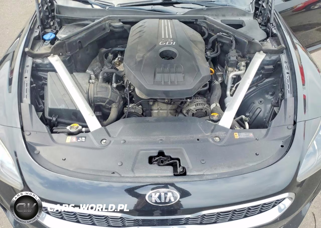 2018 Kia Stinger Premium VIN:KNAE25LA5J6037039 - 11