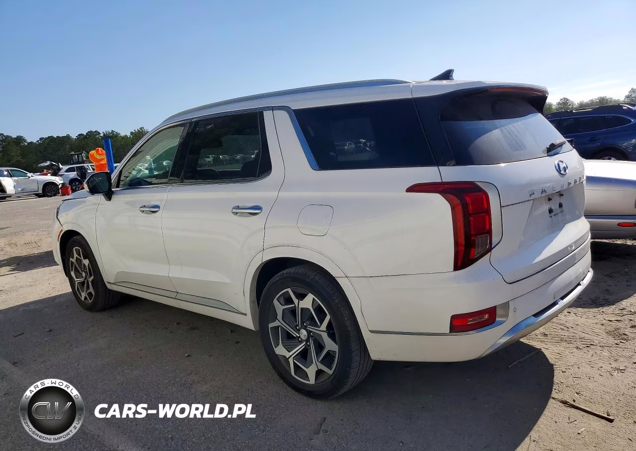 2021 Hyundai Palisade Calligraphy VIN:KM8R74HE4MU262768 - 2