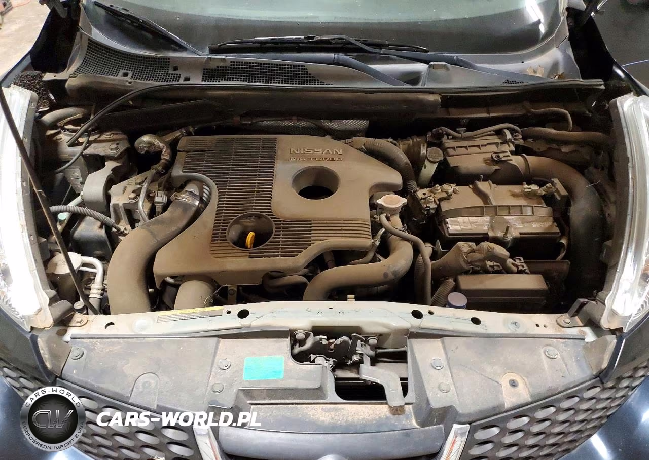 2011 Nissan Juke VIN:JN8AF5MV6BT017283 - 12