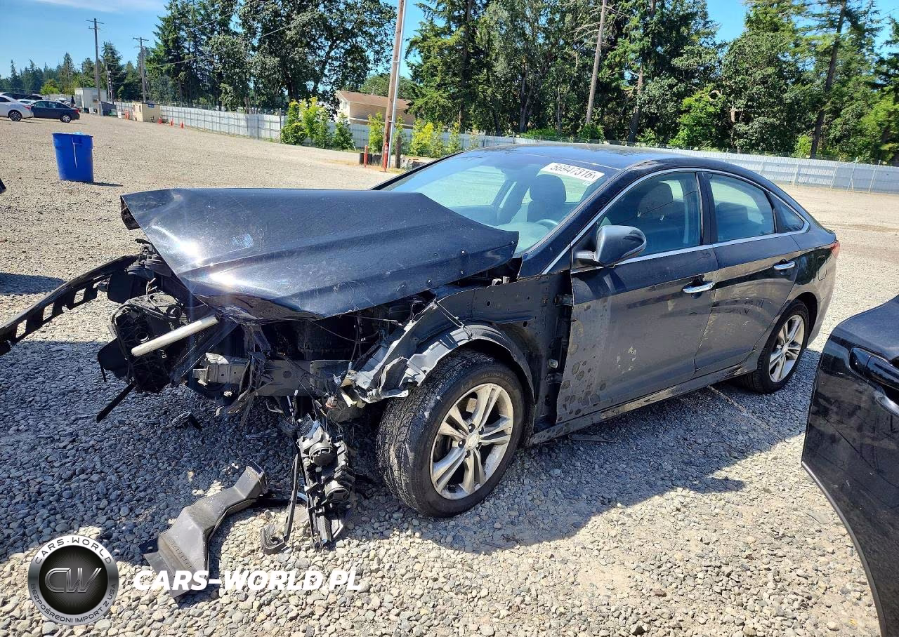 2019 Hyundai Sonata Sel – zdjęcie 1 z 13