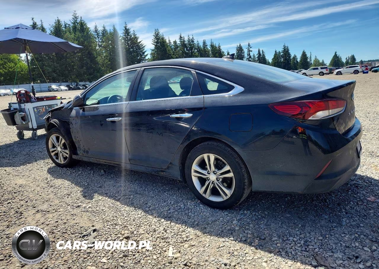 2019 Hyundai Sonata Sel VIN:5NPE34AF4KH769257 - 2