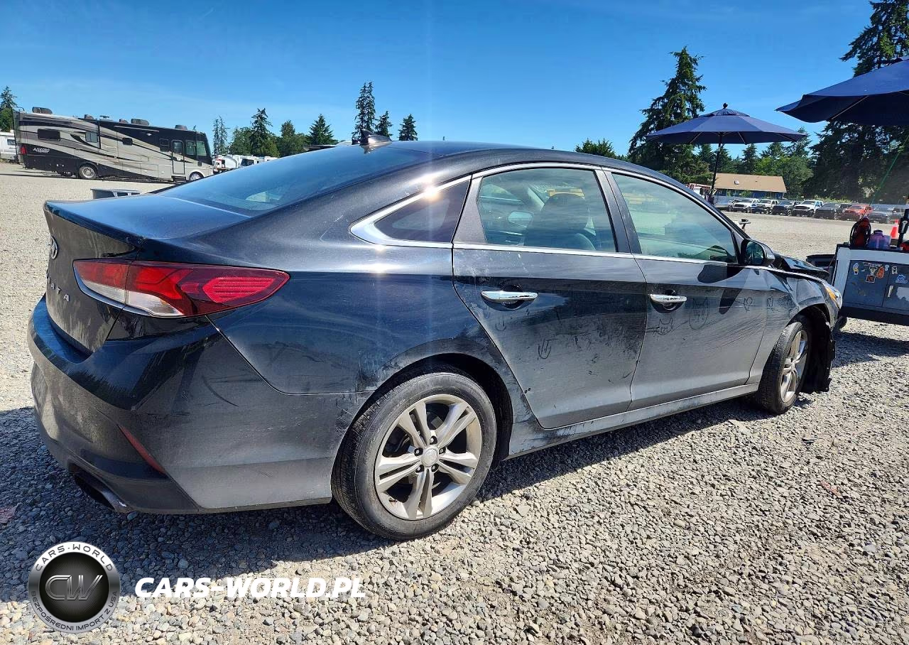 2019 Hyundai Sonata Sel VIN:5NPE34AF4KH769257 - 3