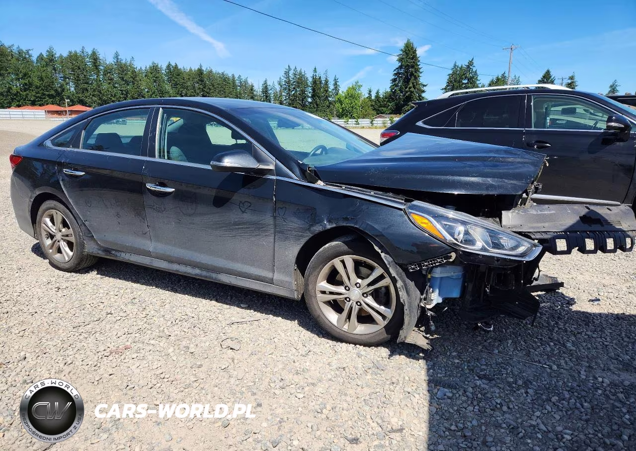 2019 Hyundai Sonata Sel VIN:5NPE34AF4KH769257 - 4