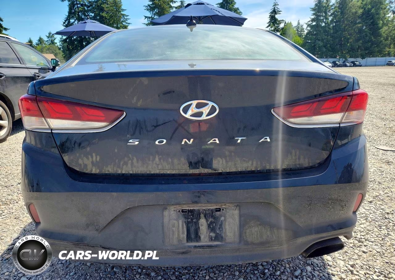 2019 Hyundai Sonata Sel VIN:5NPE34AF4KH769257 - 6