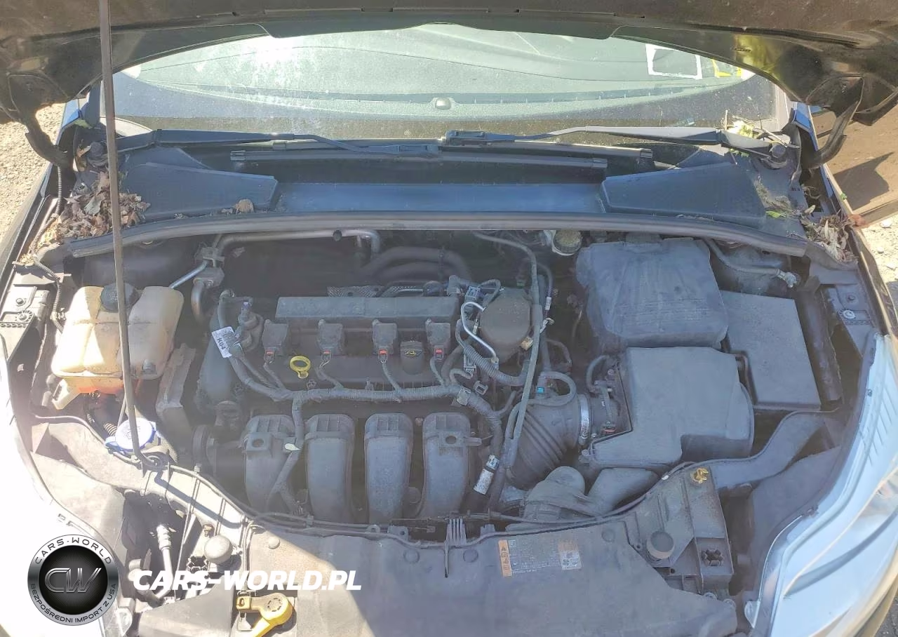 2014 Ford Focus Se VIN:1FADP3F28EL457318 - 11