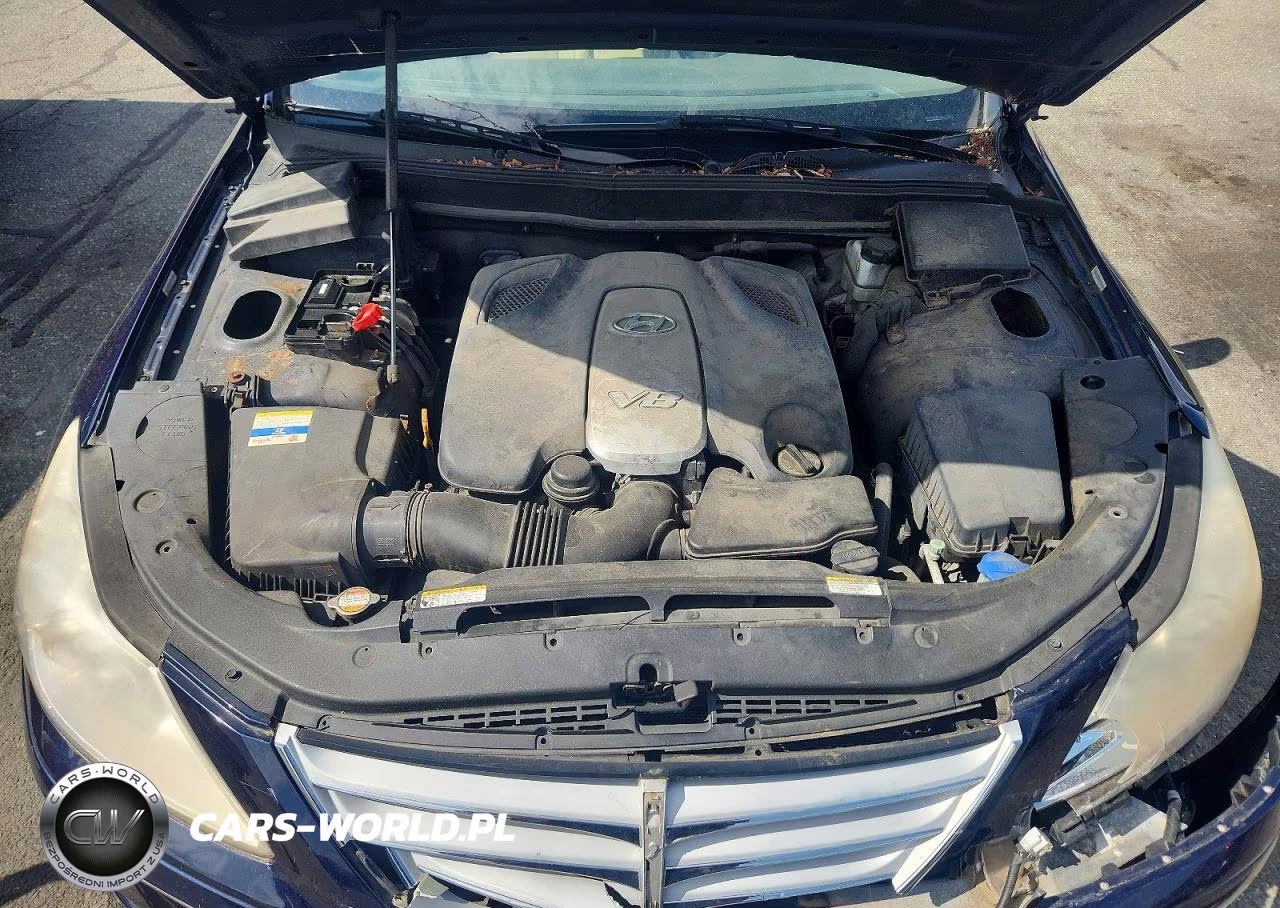 2010 Hyundai Genesis 4.6L VIN:KMHGC4DF2AU111070 - 11