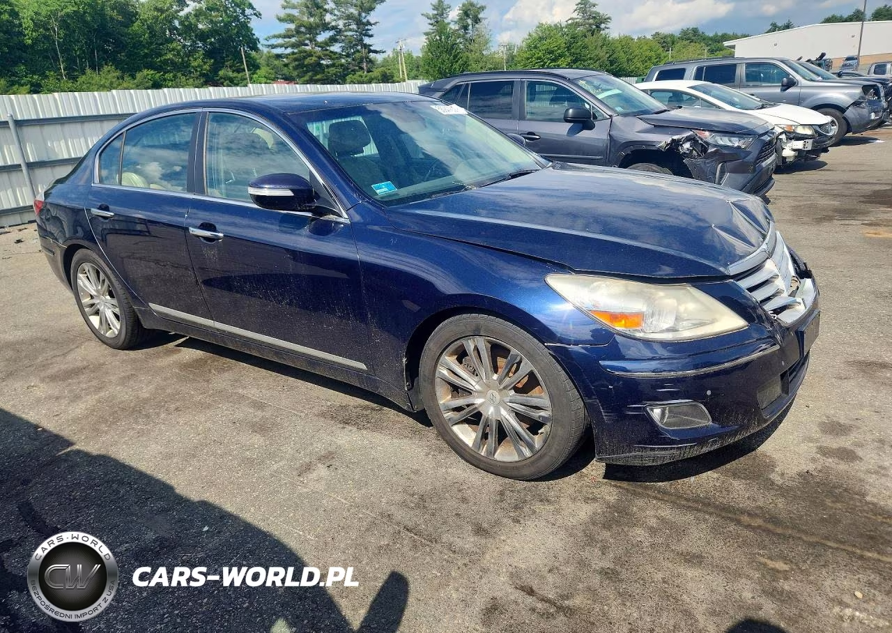 2010 Hyundai Genesis 4.6L VIN:KMHGC4DF2AU111070 - 4