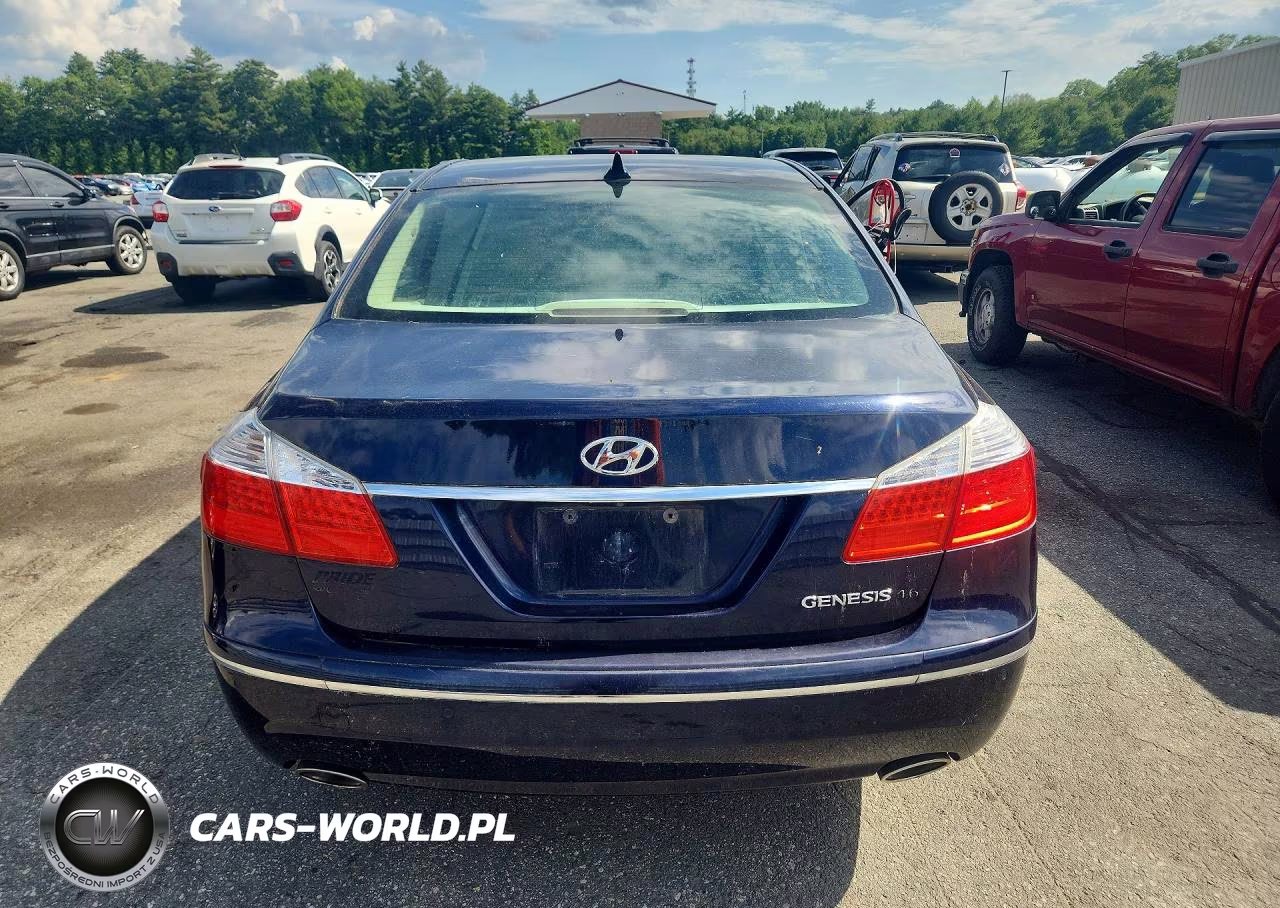2010 Hyundai Genesis 4.6L VIN:KMHGC4DF2AU111070 - 6