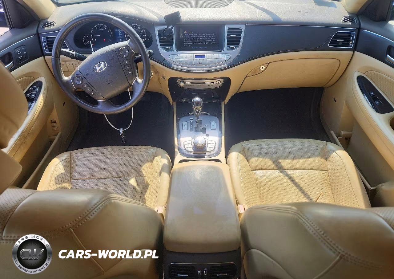 2010 Hyundai Genesis 4.6L VIN:KMHGC4DF2AU111070 - 8