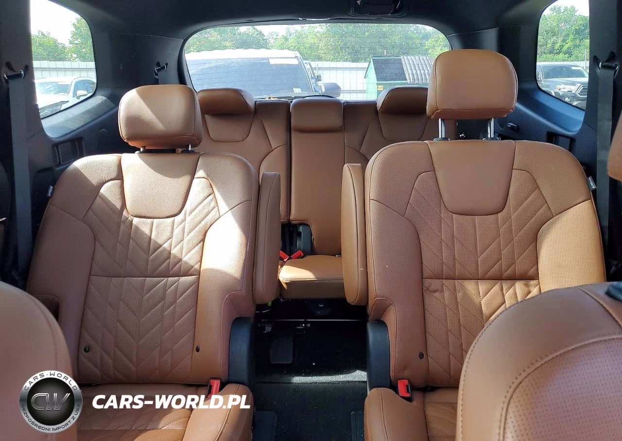 2025 Kia Telluride Sx X-Line VIN:5XYP5DGC7SG637827 - 10