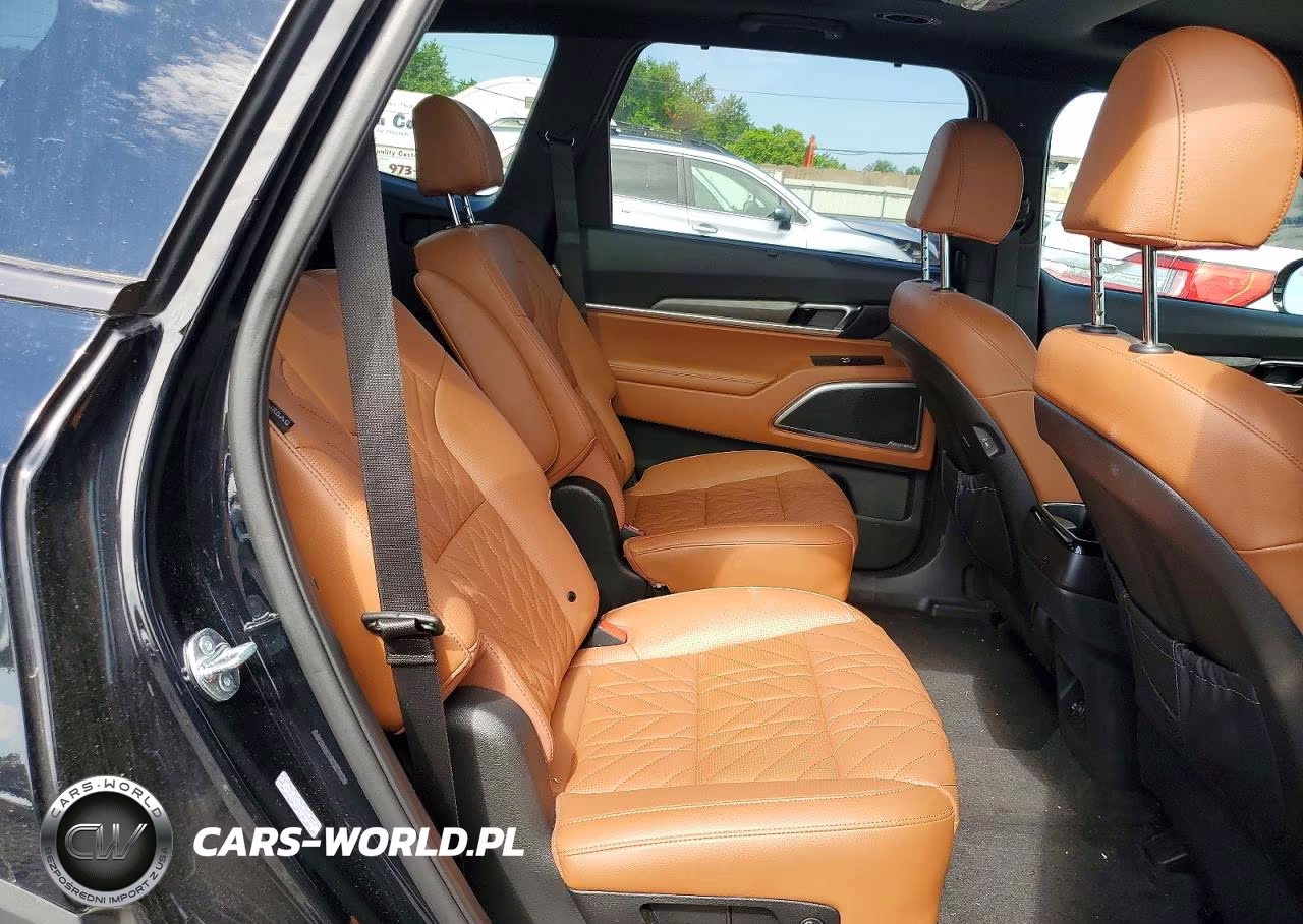 2025 Kia Telluride Sx X-Line VIN:5XYP5DGC7SG637827 - 11