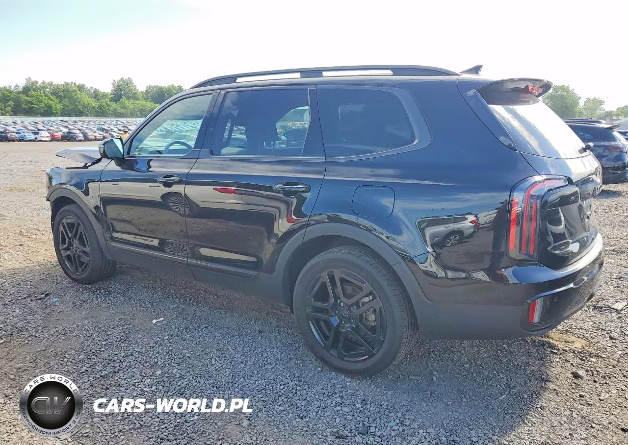 2025 Kia Telluride Sx X-Line VIN:5XYP5DGC7SG637827 - 2