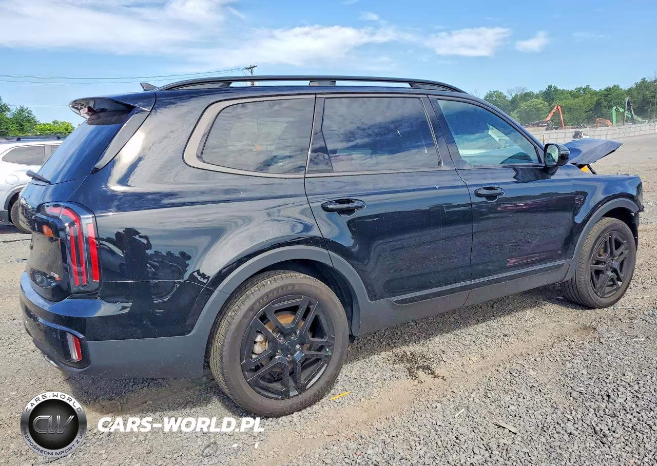 2025 Kia Telluride Sx X-Line VIN:5XYP5DGC7SG637827 - 3