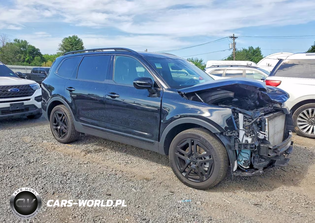 2025 Kia Telluride Sx X-Line VIN:5XYP5DGC7SG637827 - 4