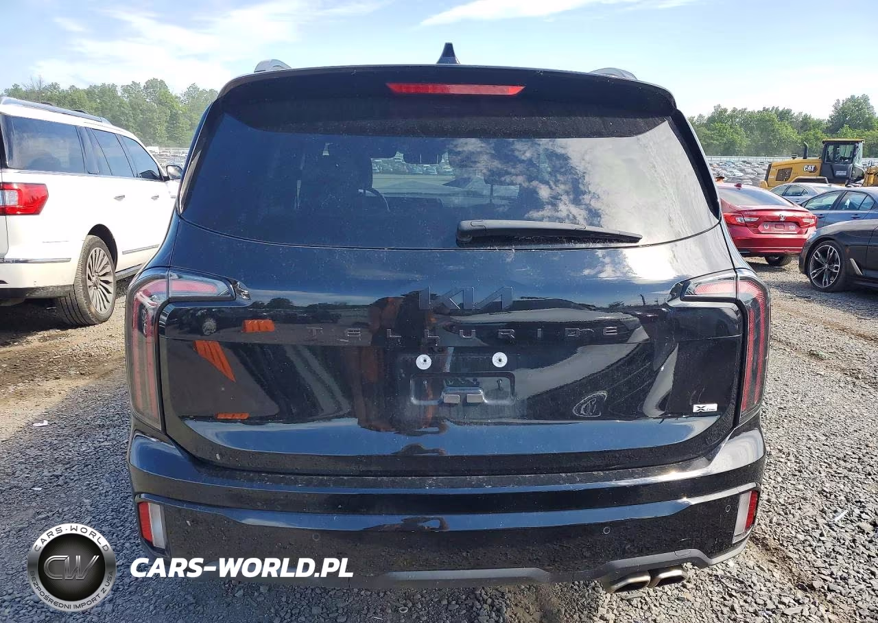 2025 Kia Telluride Sx X-Line VIN:5XYP5DGC7SG637827 - 6