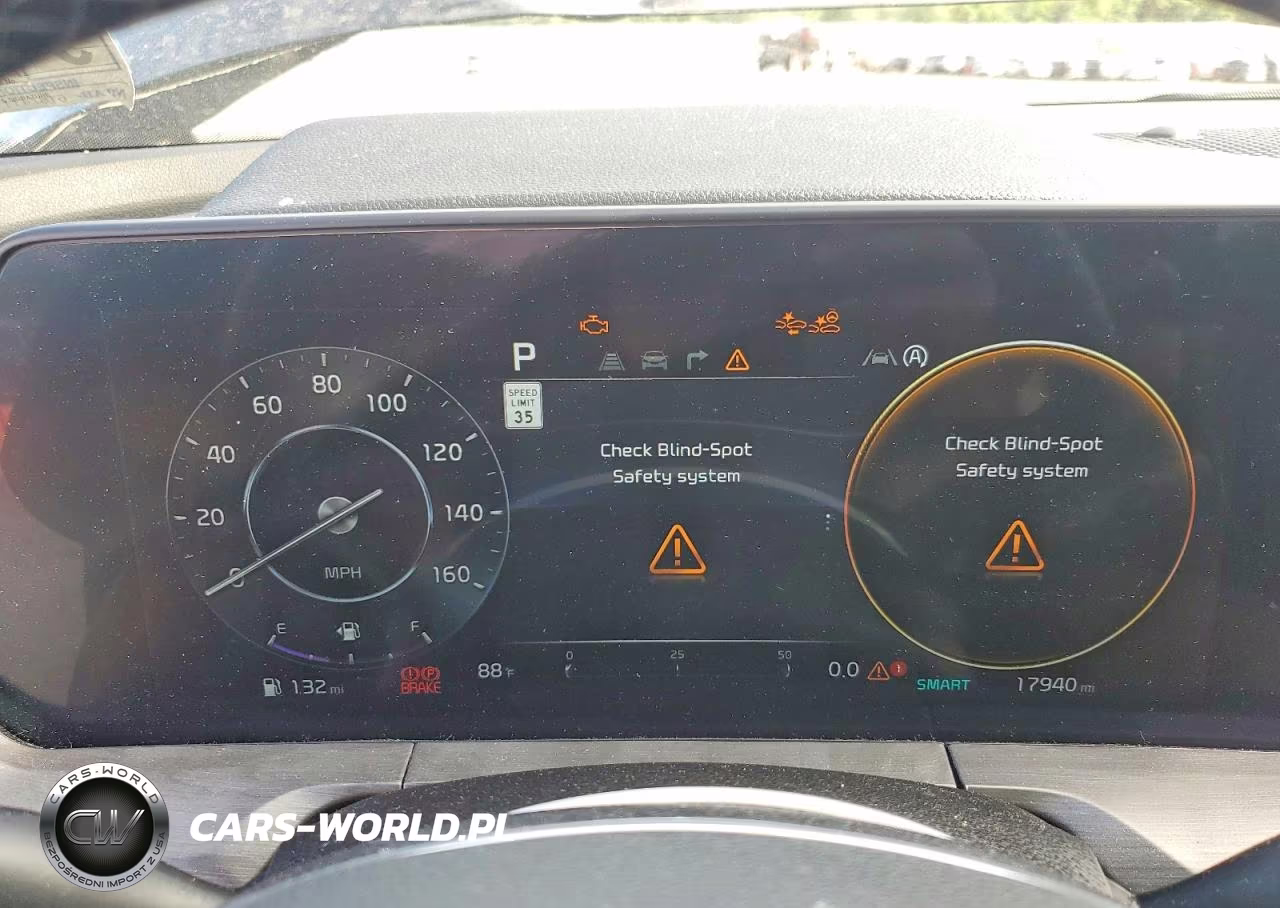 2025 Kia Telluride Sx X-Line VIN:5XYP5DGC7SG637827 - 9