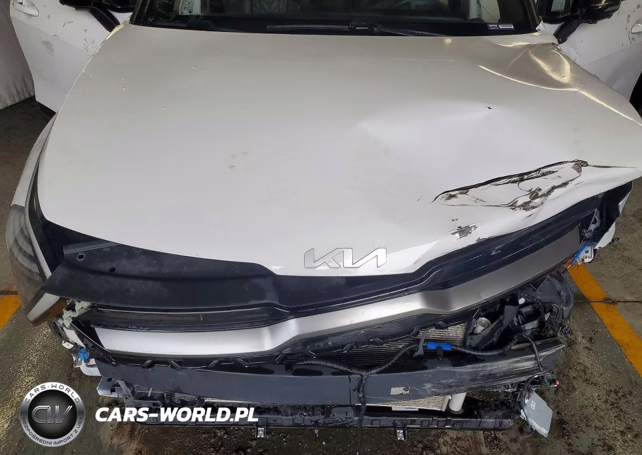2023 Kia Sportage X-Pro VIN:5XYK7CAF1PG040004 - 12
