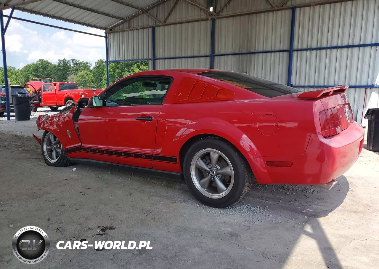2006 Ford Mustang VIN:1ZVHT80N765139121 - 2