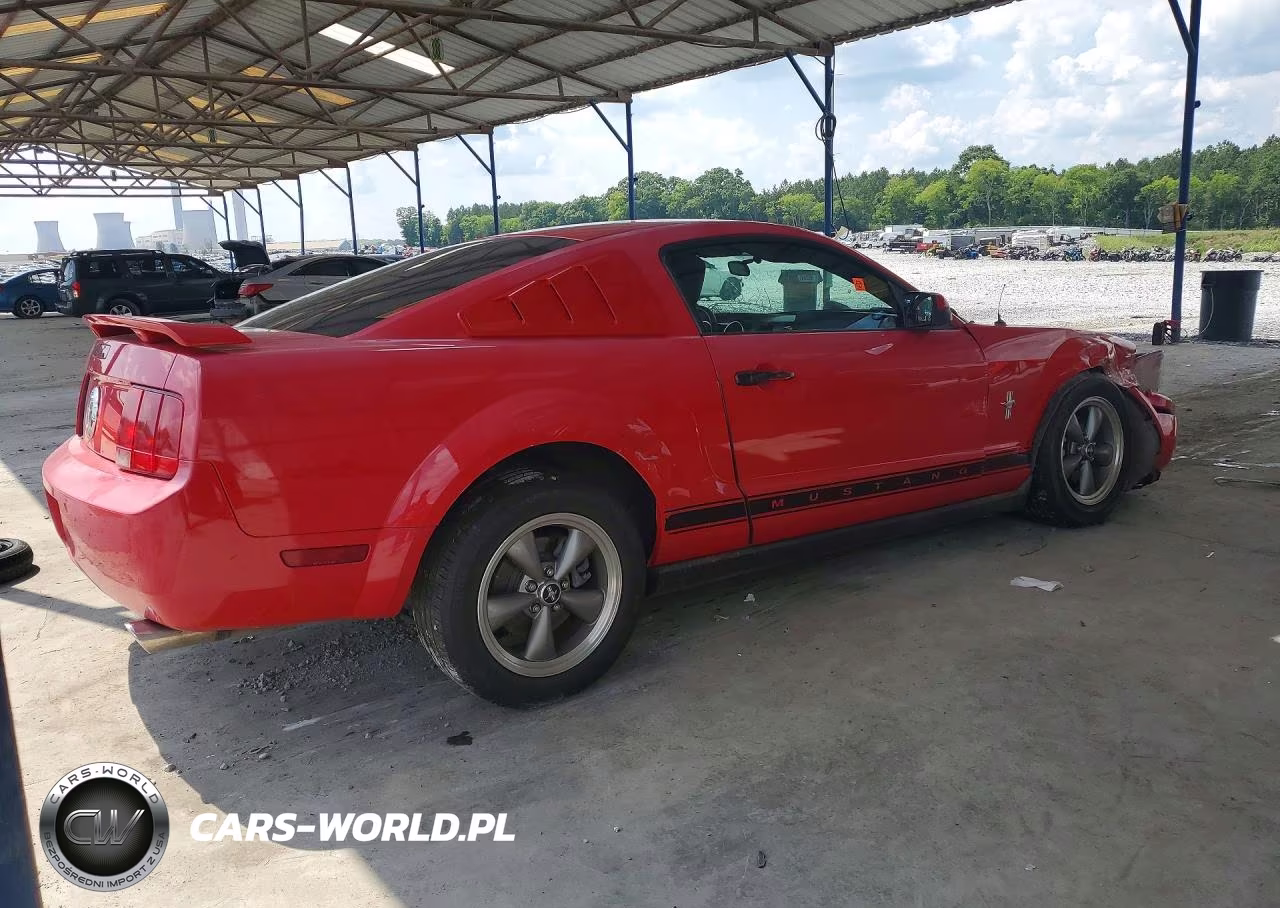 2006 Ford Mustang VIN:1ZVHT80N765139121 - 3