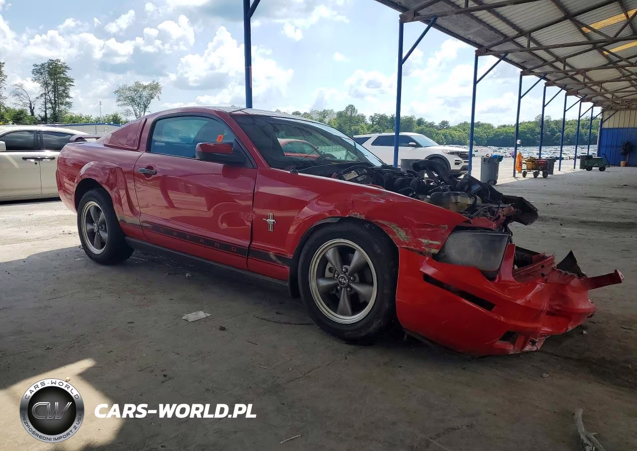 2006 Ford Mustang VIN:1ZVHT80N765139121 - 4