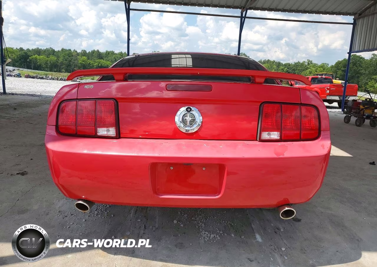 2006 Ford Mustang VIN:1ZVHT80N765139121 - 6