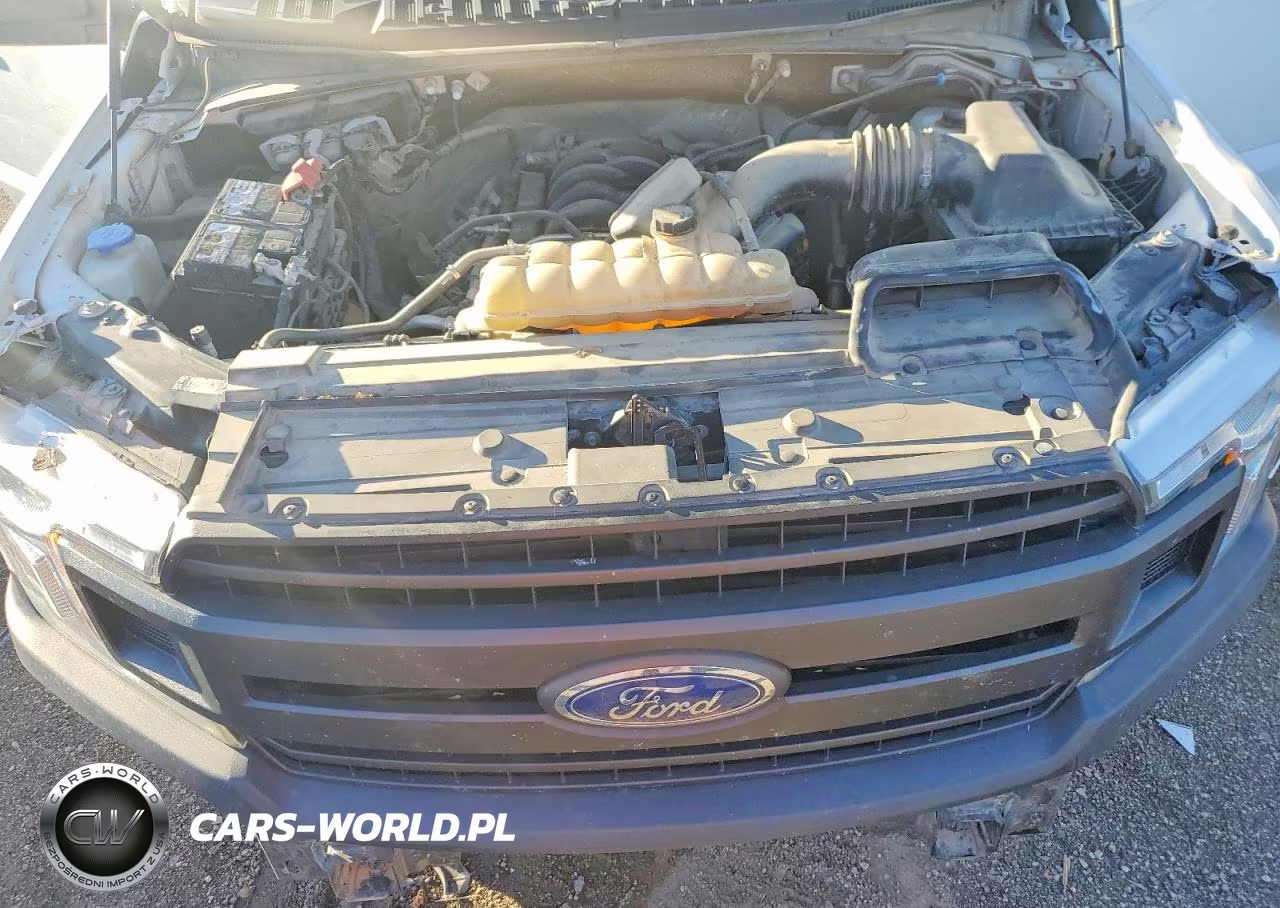 2019 Ford F-150 Styl VIN:1FTFX1E50KKE17447 - 11