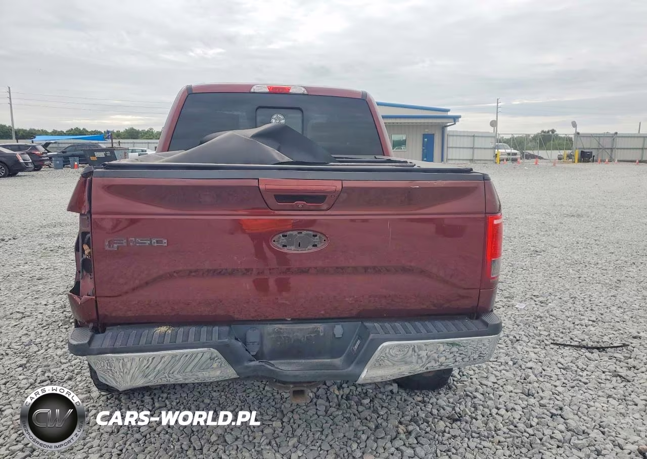 2016 Ford F150 Supercrew VIN:1FTEW1EP0GFB30481 - 6