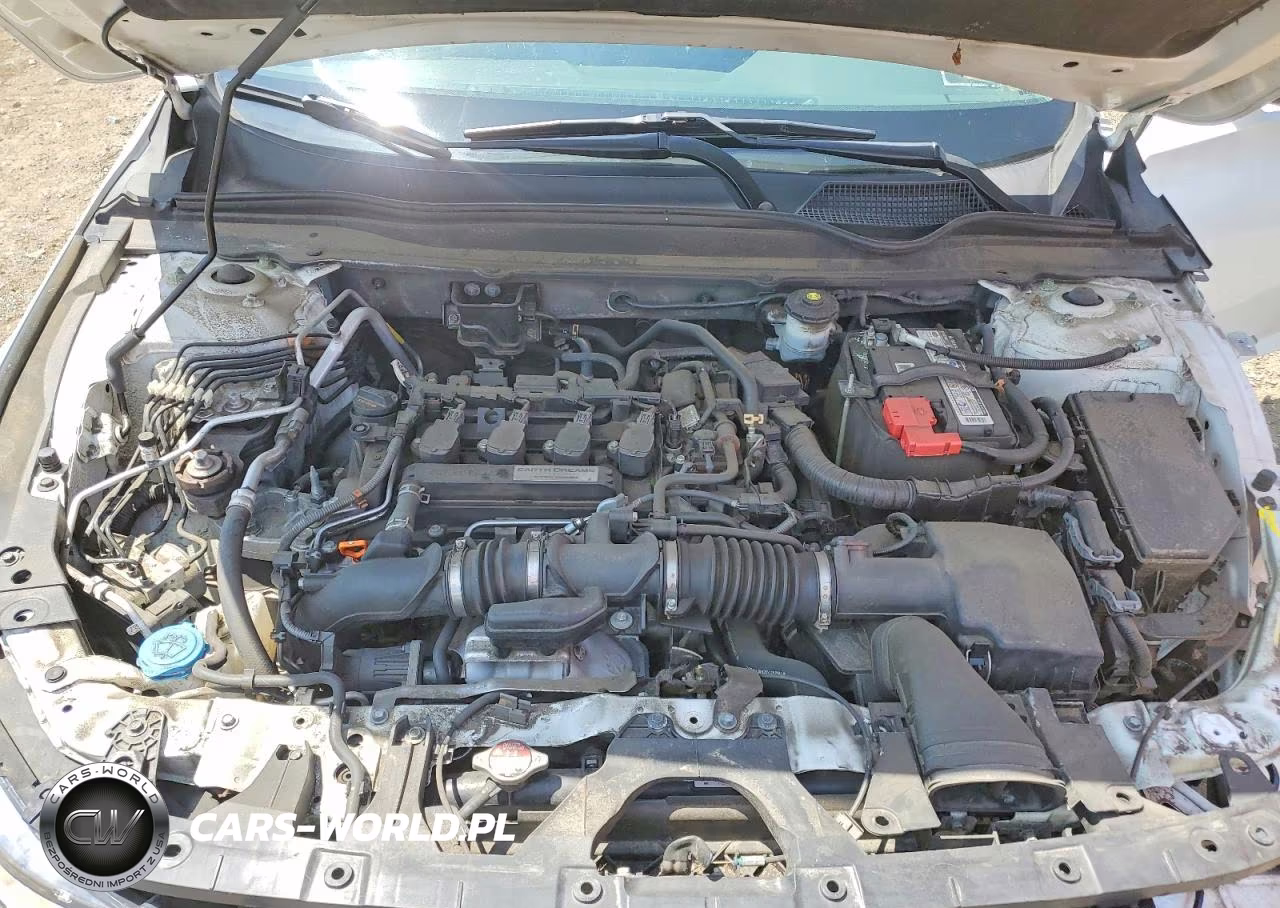 2019 Honda Accord Lx VIN:1HGCV1F17KA173923 - 11