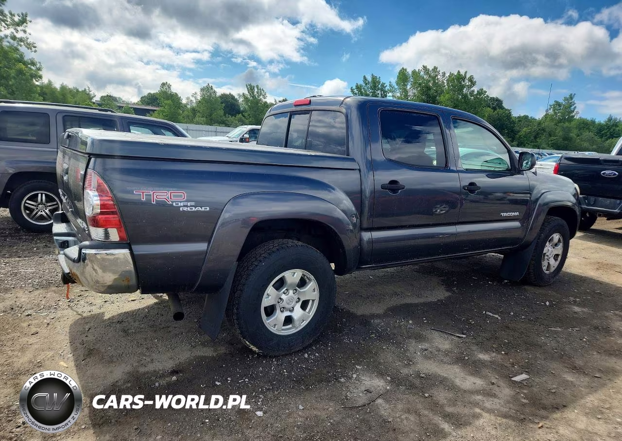 2009 Toyota Tacoma Double Cab VIN:3TMLU42N99M021991 - 3