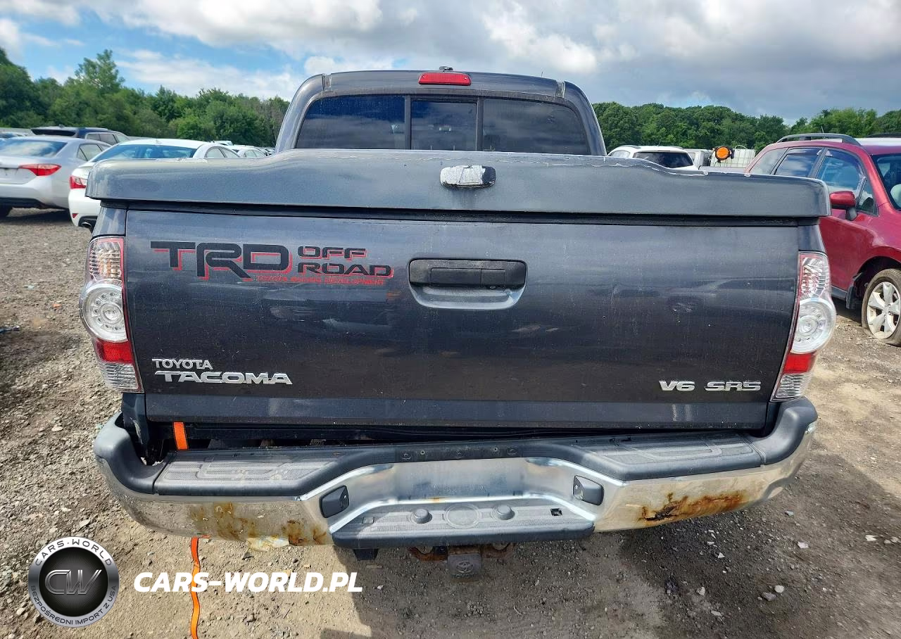 2009 Toyota Tacoma Double Cab VIN:3TMLU42N99M021991 - 6