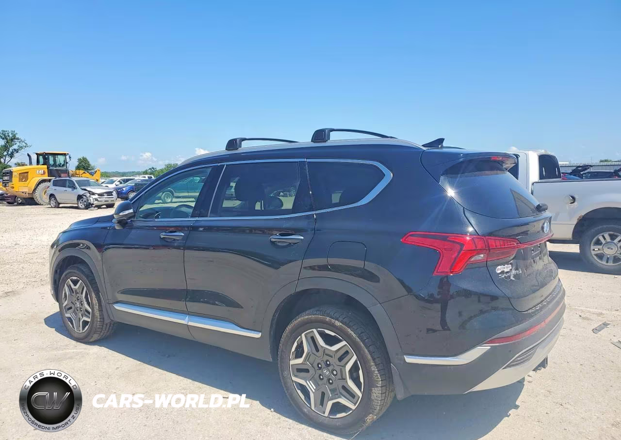 2023 Hyundai Santa Fe Limited VIN:5NMS4DAL2PH638242 - 2